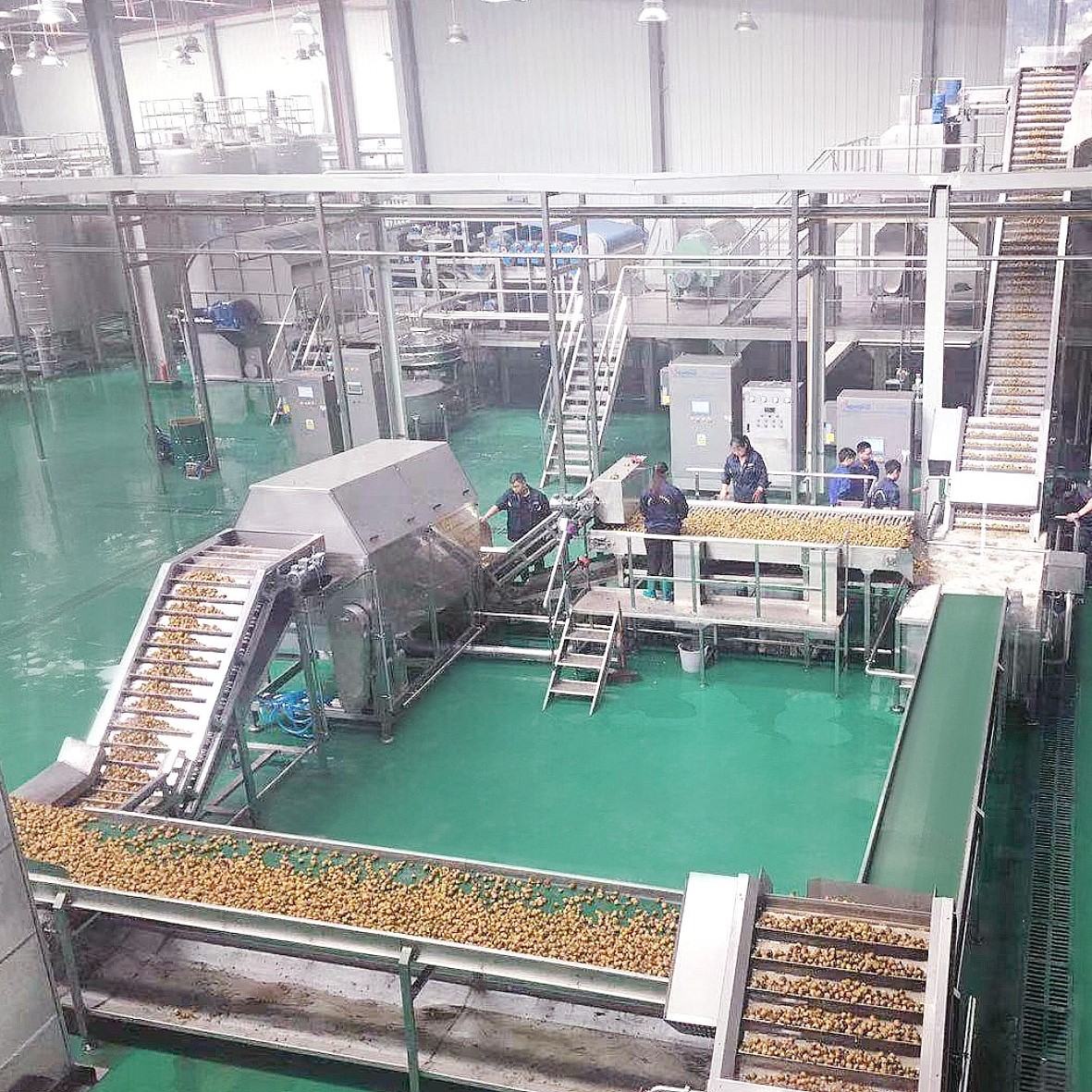沙棘加工生產線 沙棘加工生產線